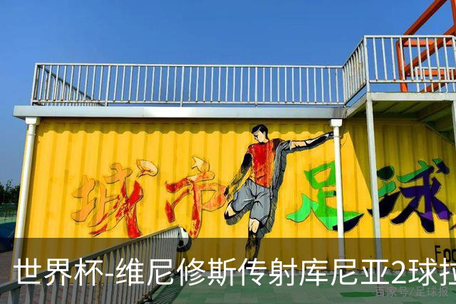 世界杯-维尼修斯传射库尼亚2球拉菲尼亚伤退 半场巴西3-0海地