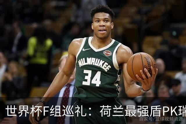 世界杯F组巡礼：荷兰最强盾PK瑞典犀利刀 日本短板明显