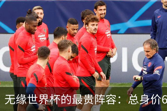 无缘世界杯的最贵阵容：总身价6.7亿 意大利5人