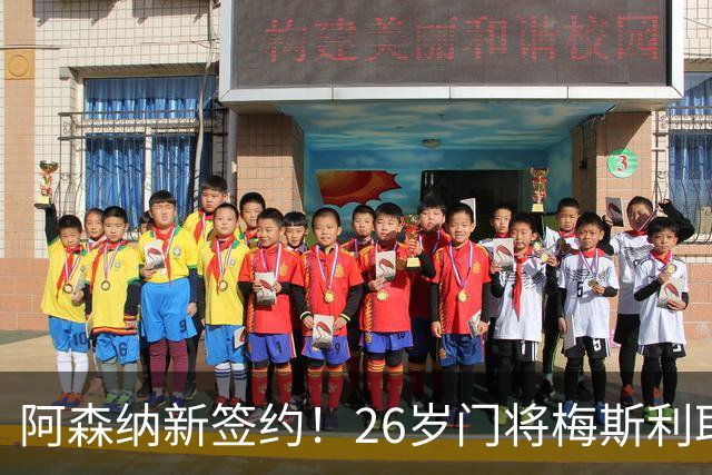 阿森纳新签约！26岁门将梅斯利耶免费加盟，成为拉亚的替补人选